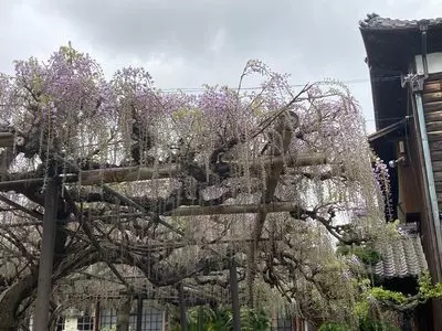 福王寺（静岡県磐田市）