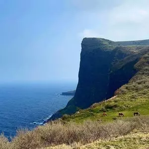 隠岐国賀海岸