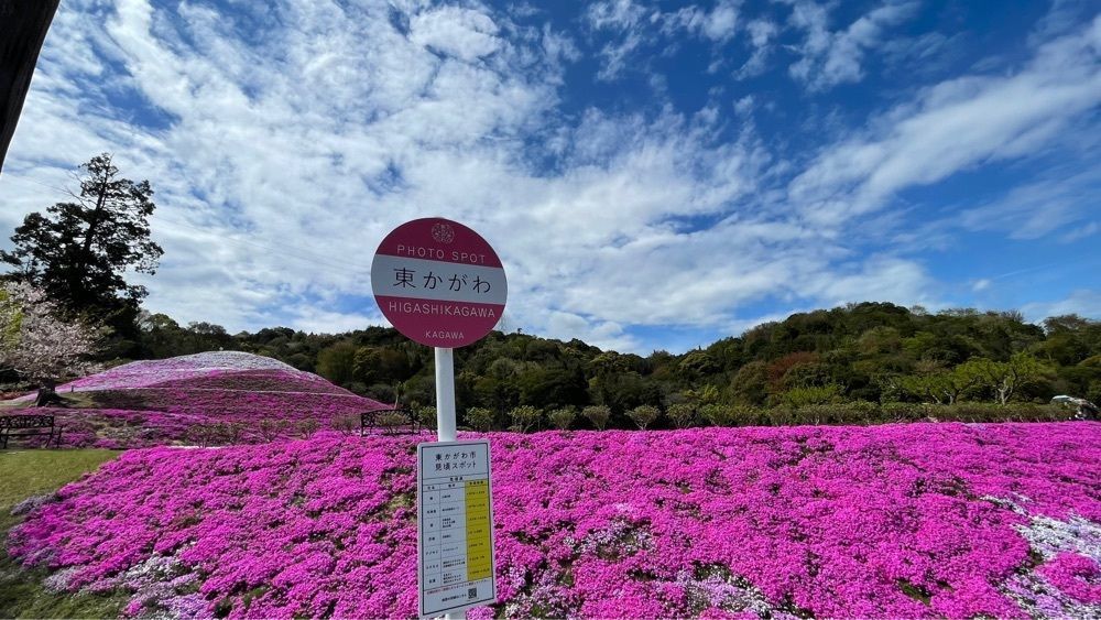 みぃさんが投稿したカフェ･食 木の電柱（【旧店名】電柱山小家カフェ）に関する口コミの画像