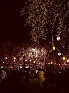 榴岡公園