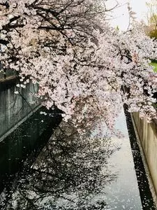 やきとりや 彩