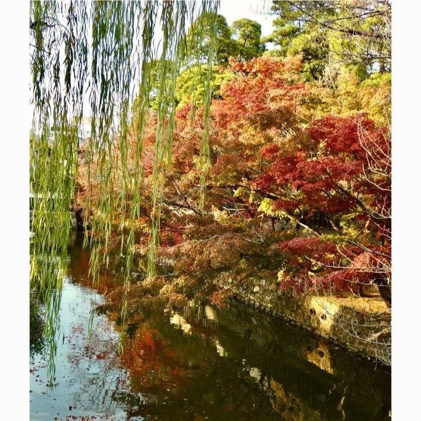 ＪＵNさんが投稿した倉敷美観地区に関する口コミの画像