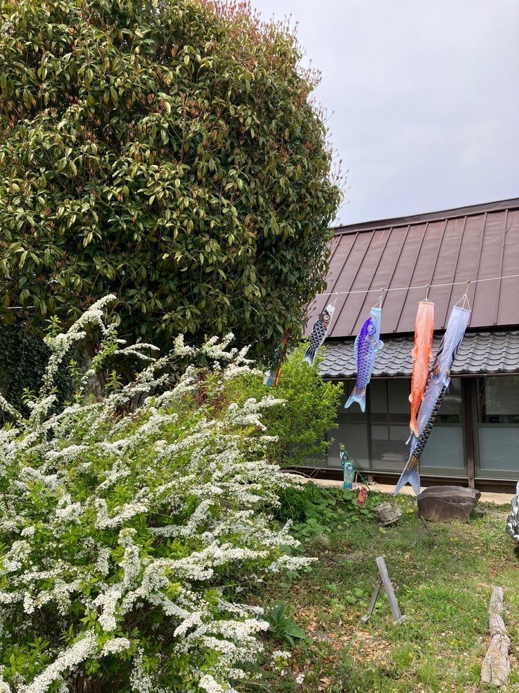 Nさんが投稿した古民家カフェ トロッコに関する口コミの画像