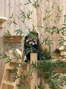 桐生が岡動物園