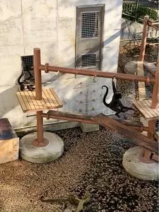 桐生が岡動物園