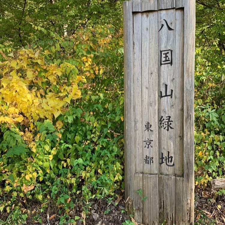 chan_nanaさんが投稿した八国山緑地に関する口コミの画像