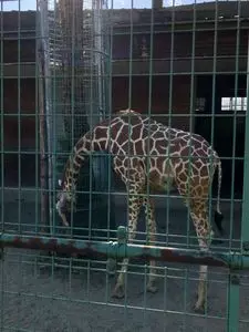 桐生が岡動物園