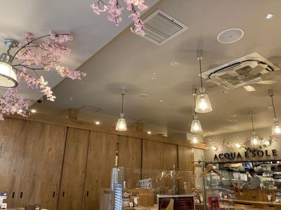 ACQUA E SOLE（アクア エ ソーレ） 5枚目