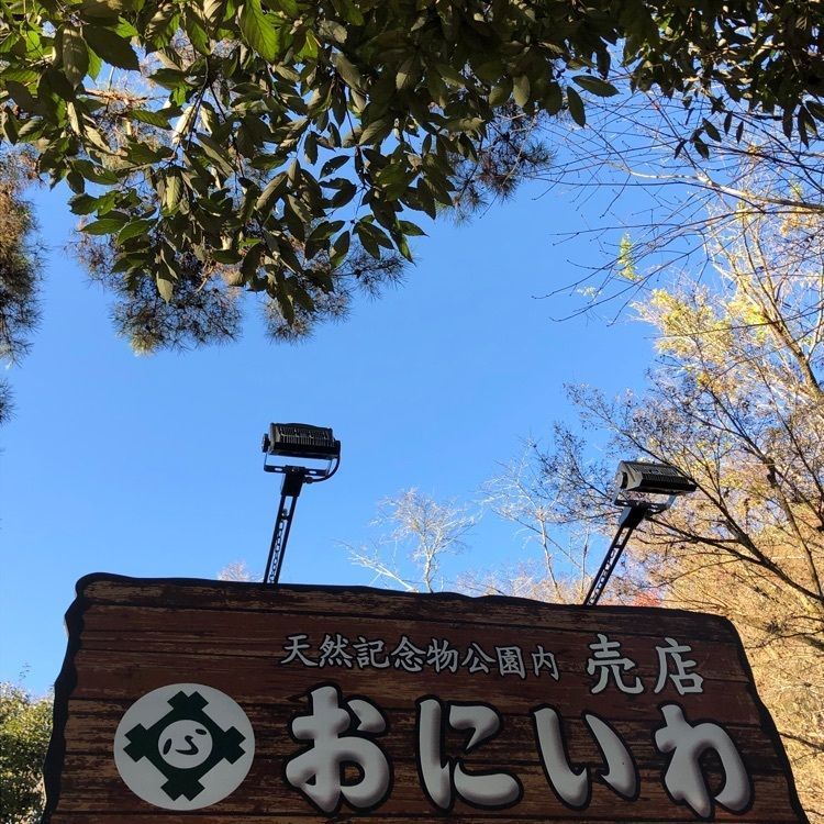 💧- ma - 🍀 - ka -💧さんが投稿した画像の画像