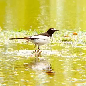 宮崎県総合文化公園