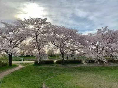 古利根川