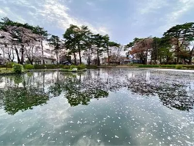 烏が森公園