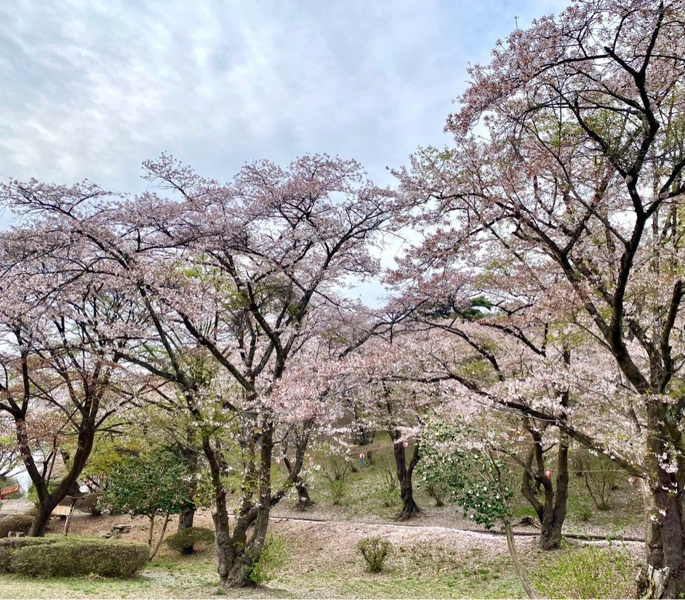 calm_gift_1030さんが投稿した烏が森公園に関する口コミの画像