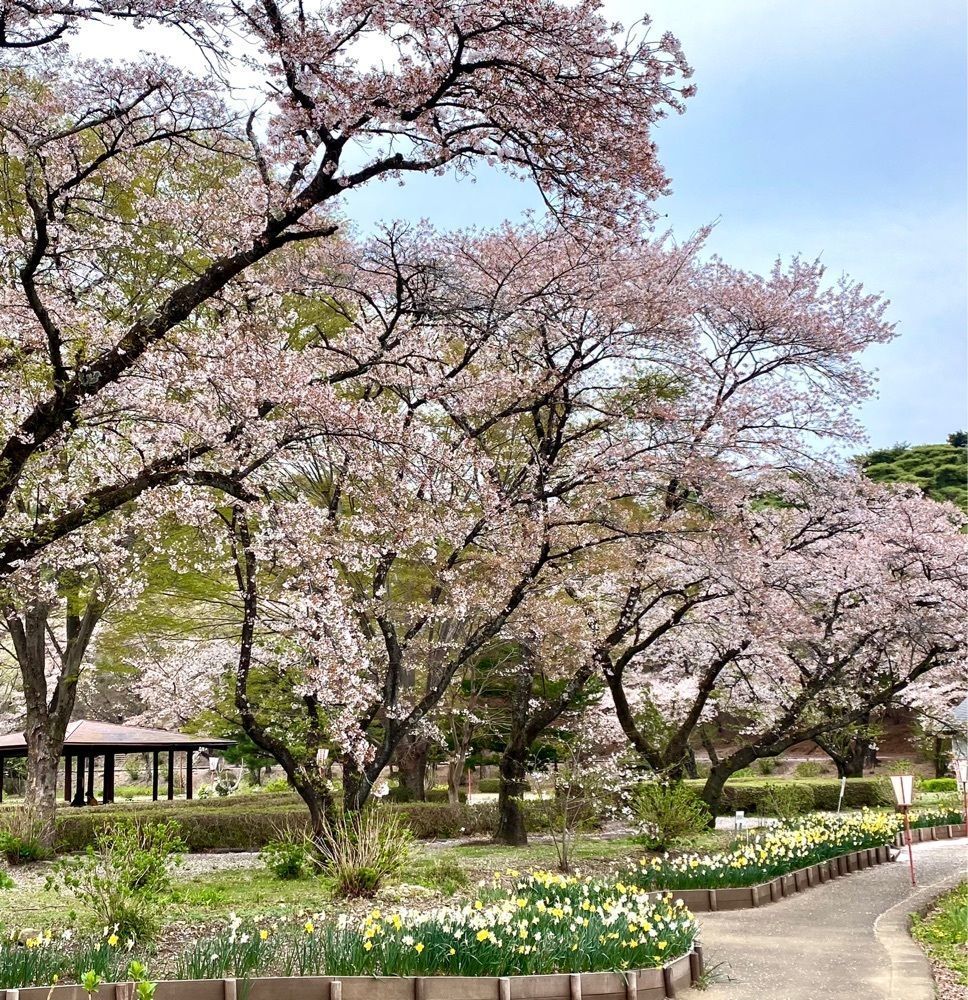 calm_gift_1030さんが投稿した烏が森公園に関する口コミの画像