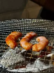 焼肉 ホルモン かないや