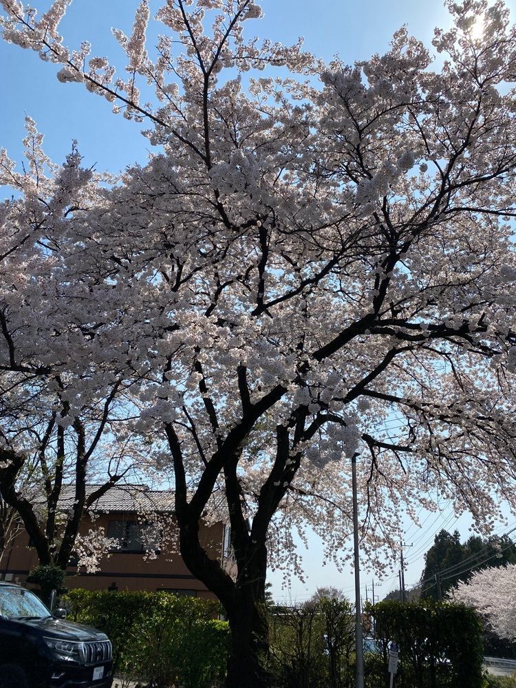 かよこさんが投稿したささやに関する口コミの画像