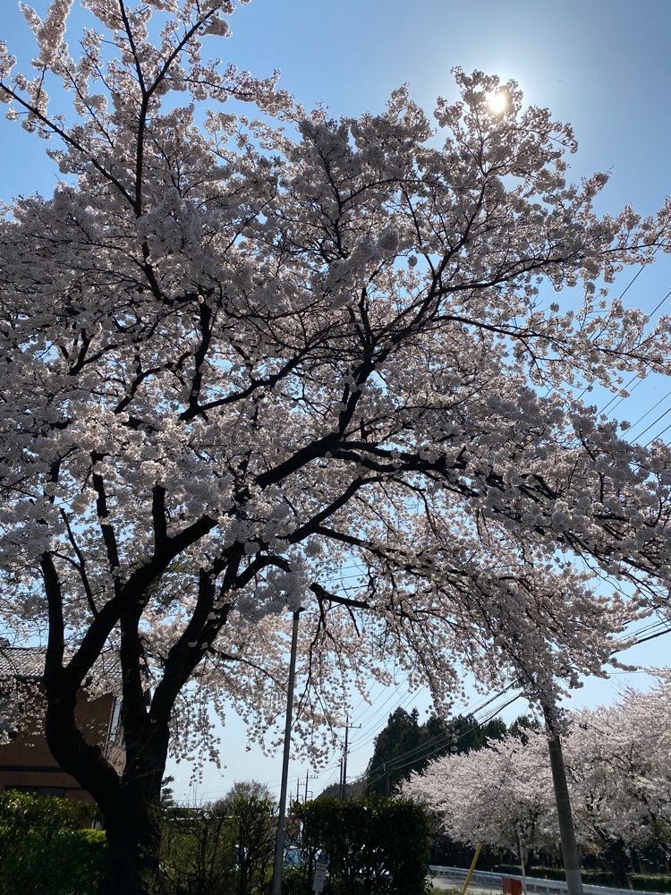 かよこさんが投稿したささやに関する口コミの画像