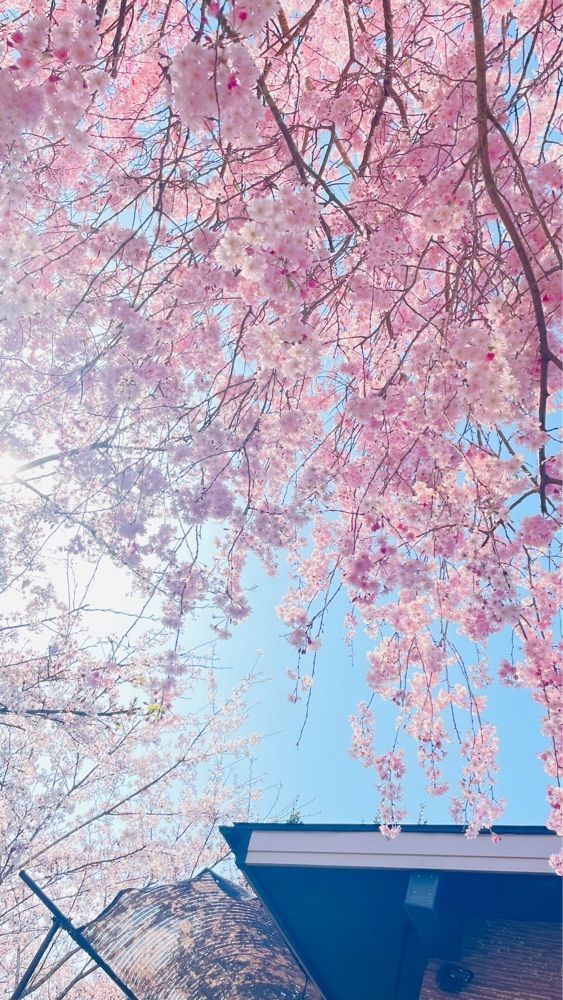 kei_koさんが投稿したちもしい・ぐらすに関する口コミの画像