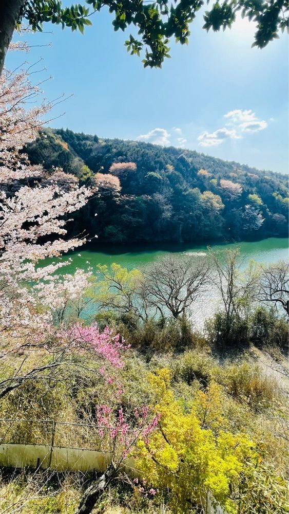 kei_koさんが投稿したちもしい・ぐらすに関する口コミの画像