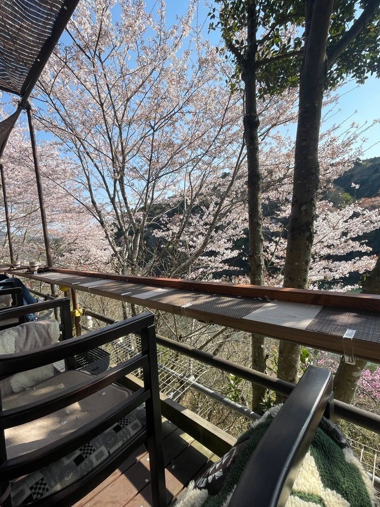 kei_koさんが投稿したちもしい・ぐらすに関する口コミの画像