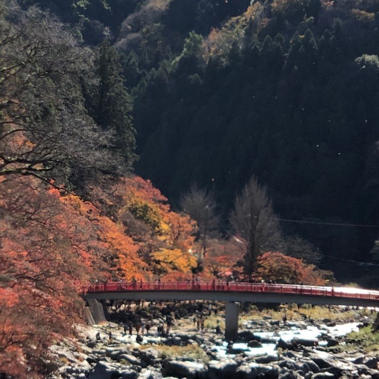 み～さんが投稿したもみじ堂に関する口コミの画像