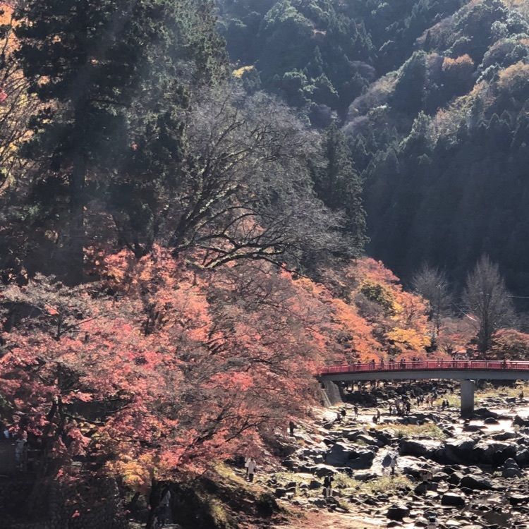 み～さんが投稿したもみじ堂に関する口コミの画像