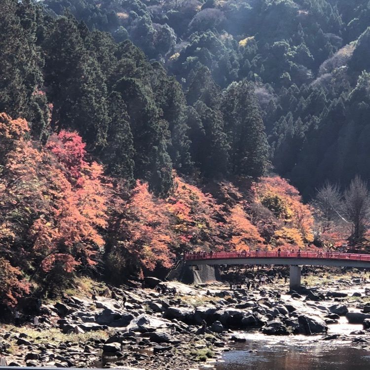 み～さんが投稿したもみじ堂に関する口コミの画像