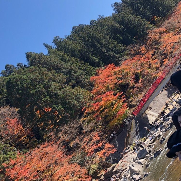 み～さんが投稿したもみじ堂に関する口コミの画像