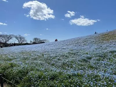 海の中道