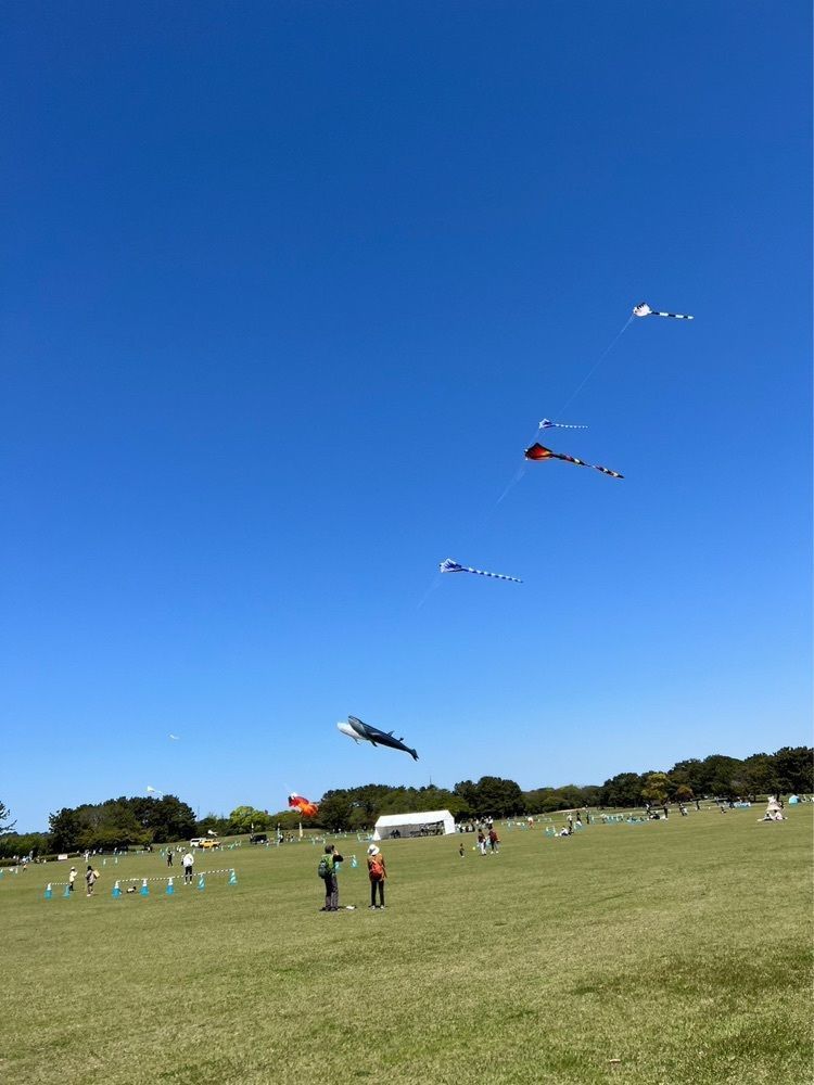 nakakokさんが投稿した海の中道に関する口コミの画像