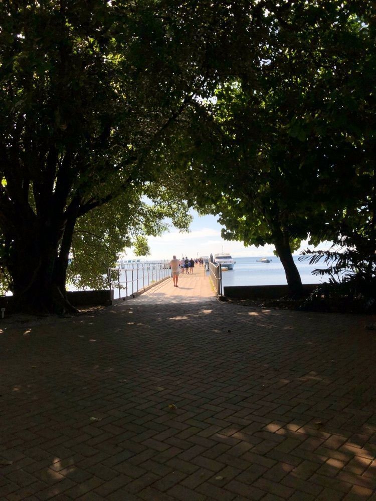 yu-chanさんが投稿したGreen Islandに関する口コミの画像