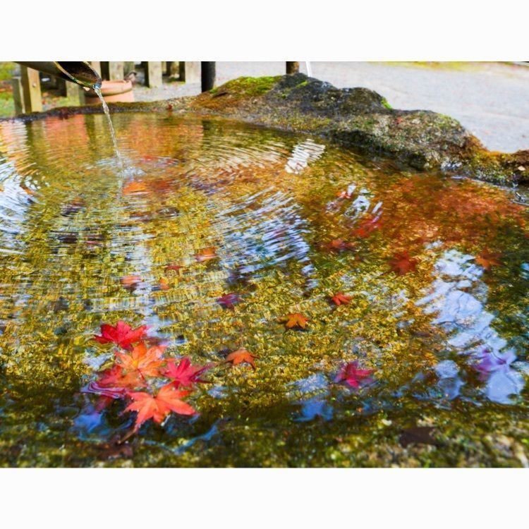 Tettsuさんが投稿した神峯山寺に関する口コミの画像