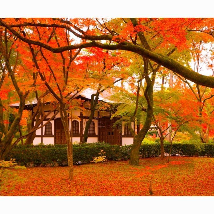 Tettsuの画像