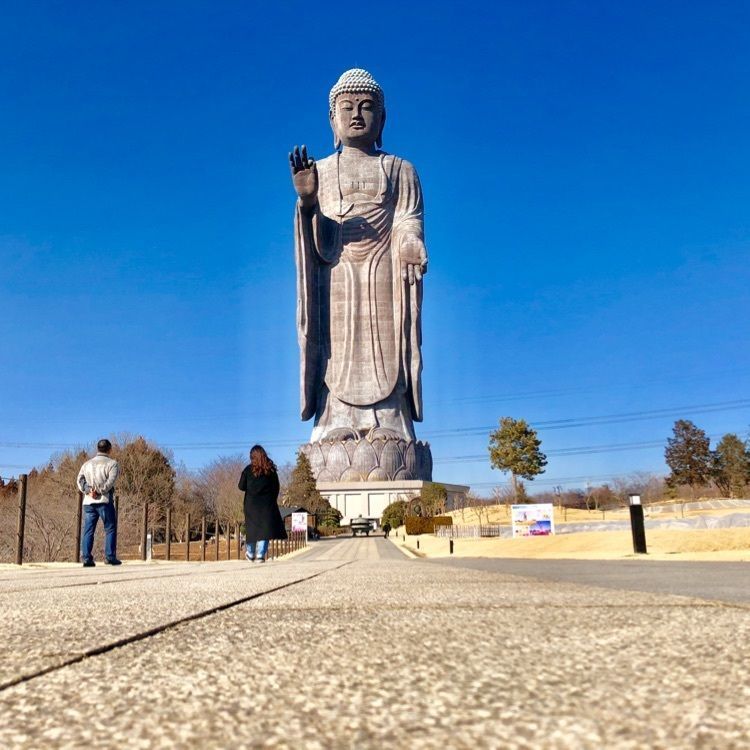 稜汰さんが投稿した牛久大仏に関する口コミの画像