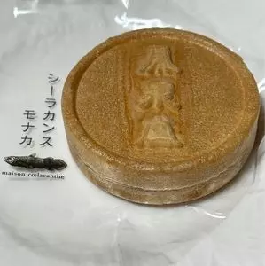 メゾン シーラカンス（maison coelacanthe）