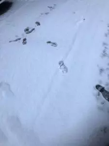 小鹿の湯