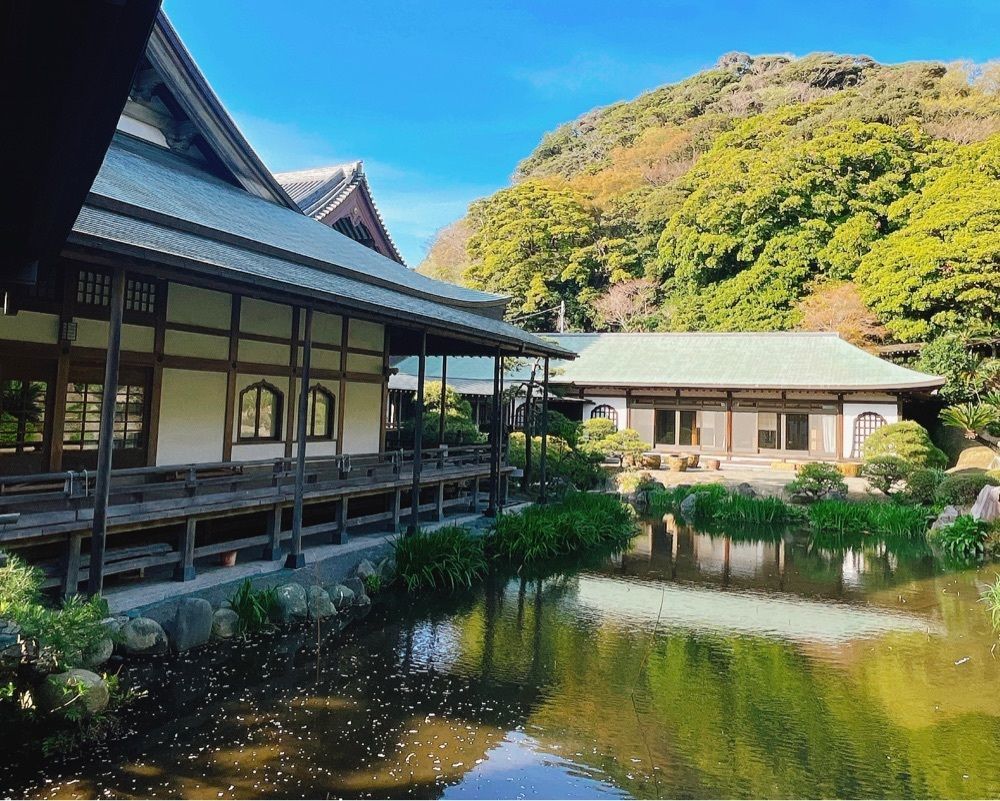 active34さんが投稿した浄土宗大本山 光明寺（ジョウドシュウダイホンザン・コウミョウジ）に関する口コミの画像