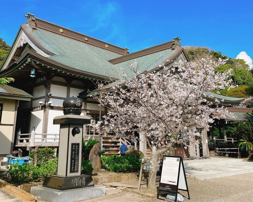 active34さんが投稿した浄土宗大本山 光明寺（ジョウドシュウダイホンザン・コウミョウジ）に関する口コミの画像