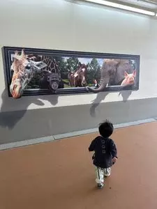 中京競馬場