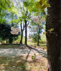 赤塚公園
