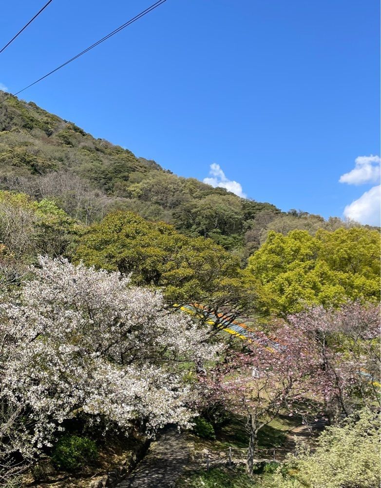 みーなさんが投稿した火の山ロープウェイに関する口コミの画像