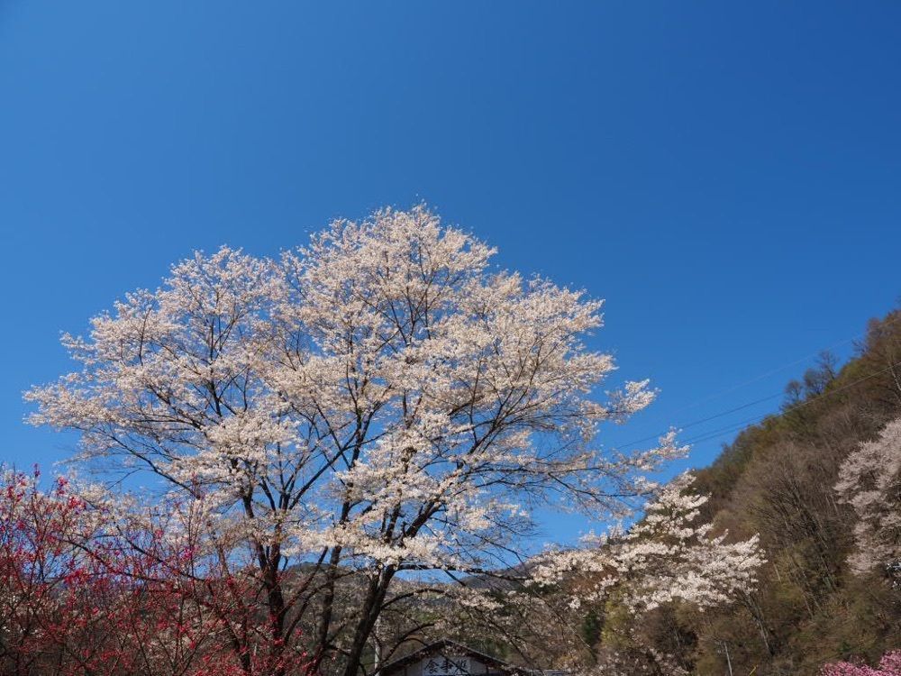 Howl Monさんが投稿した昼神温泉郷に関する口コミの画像