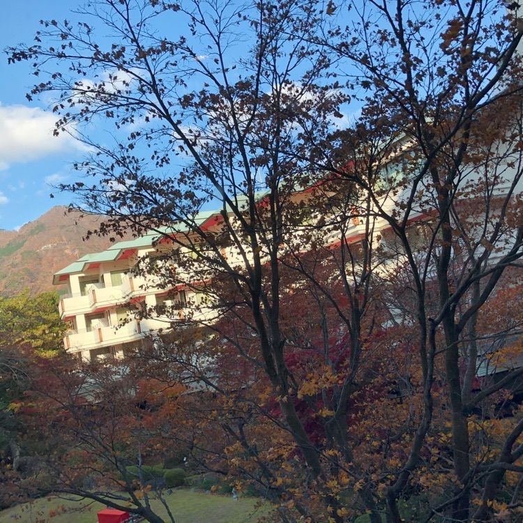beautiful_cafeteria_a5b3さんが投稿した鬼怒川グランドホテル　夢の季に関する口コミの画像