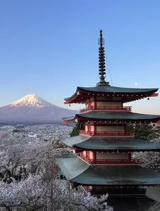 新倉山浅間公園