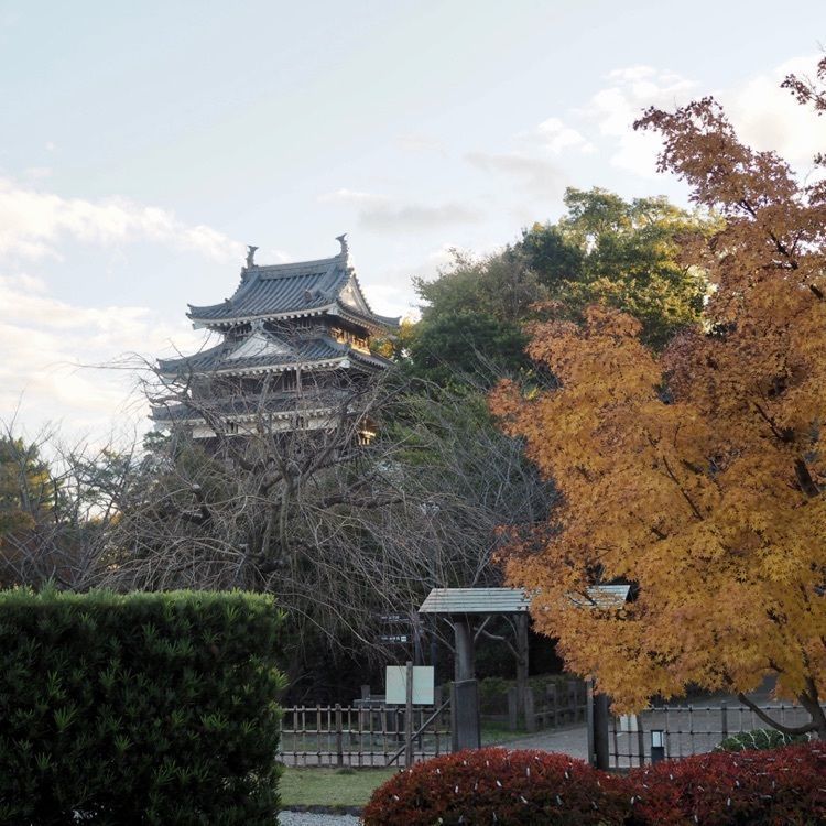 なおなおさんが投稿した西尾市歴史公園に関する口コミの画像
