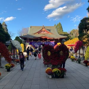 施設画像
