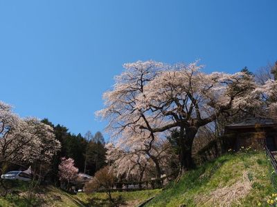 施設画像