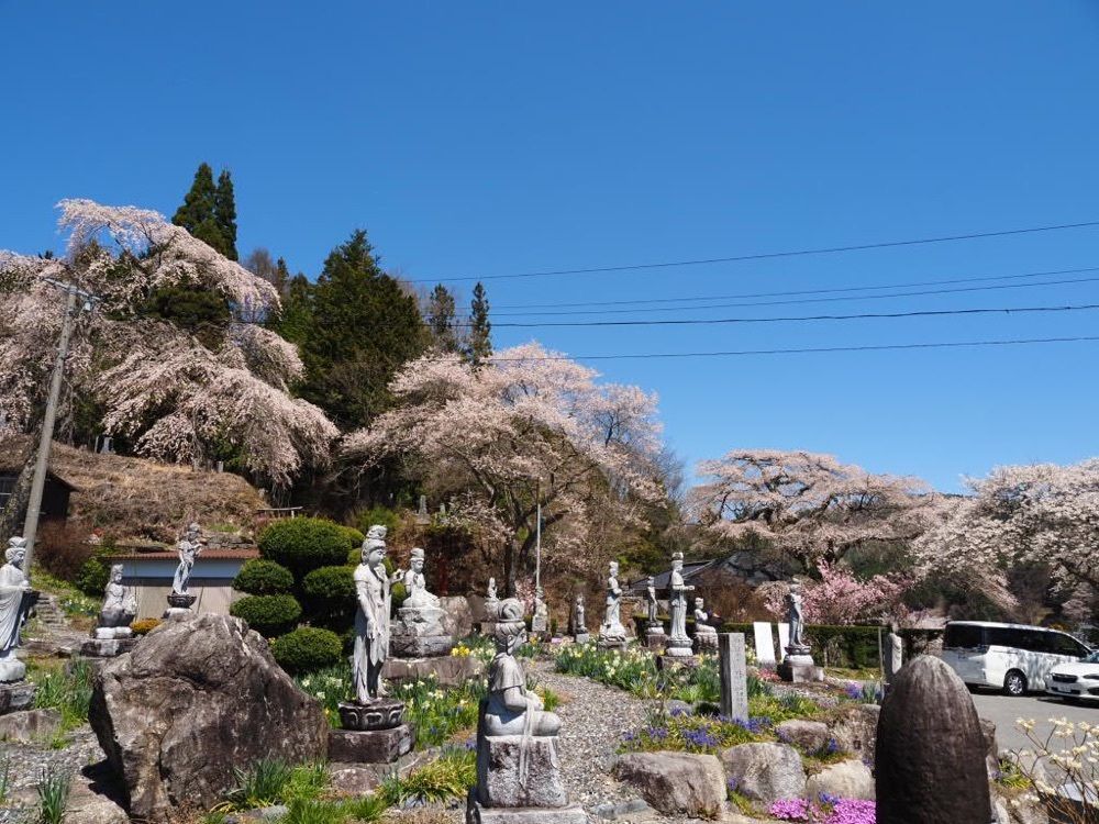 Howl Monさんが投稿した宝蔵寺の桜に関する口コミの画像