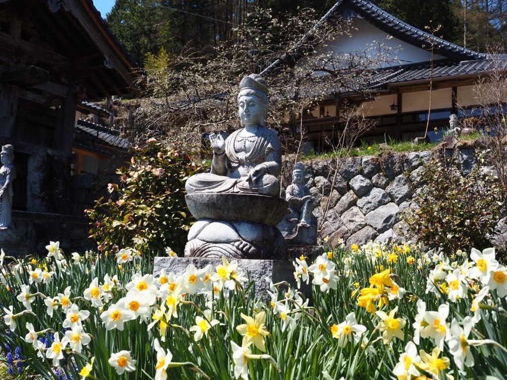 Howl Monさんが投稿した宝蔵寺の桜に関する口コミの画像