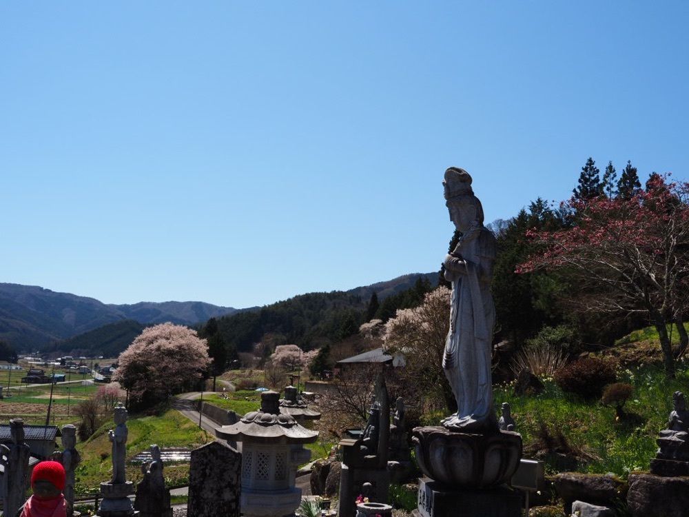 Howl Monさんが投稿した宝蔵寺の桜に関する口コミの画像